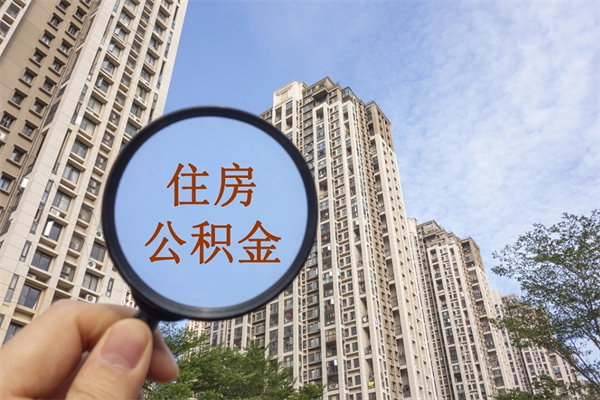 禹州代理提取公积金（禹州代理提取公积金可靠吗）